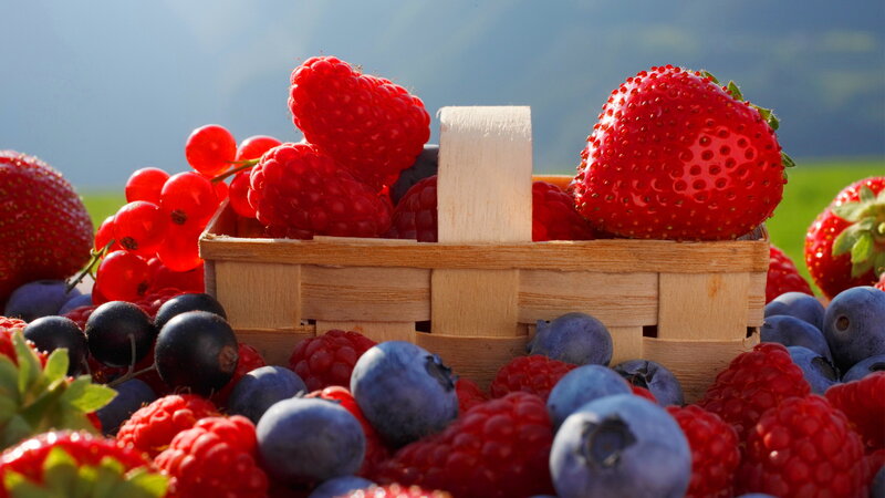 Basket of Mixed Berries — Red
