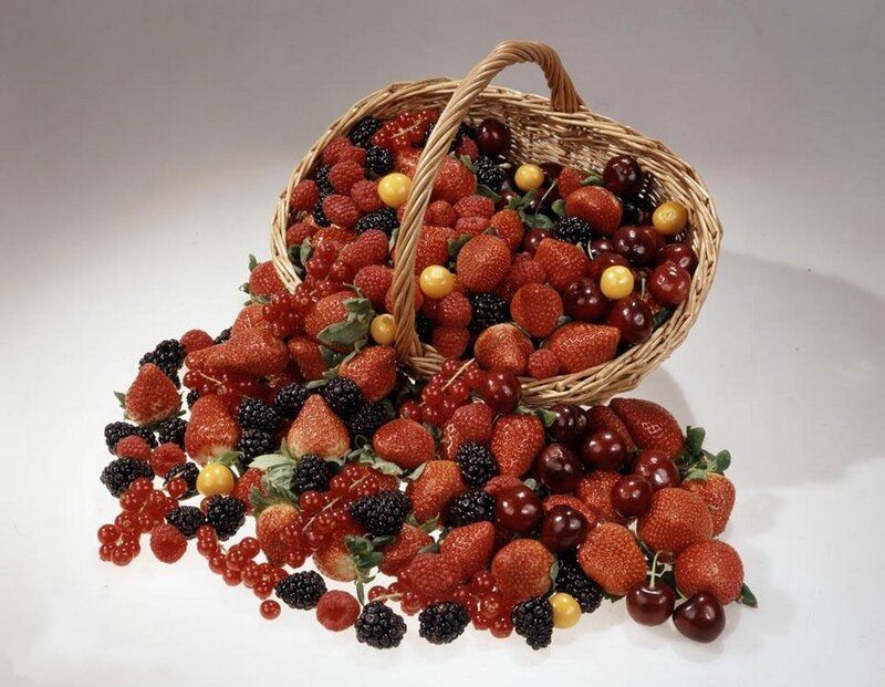 Basket of Mixed Berries