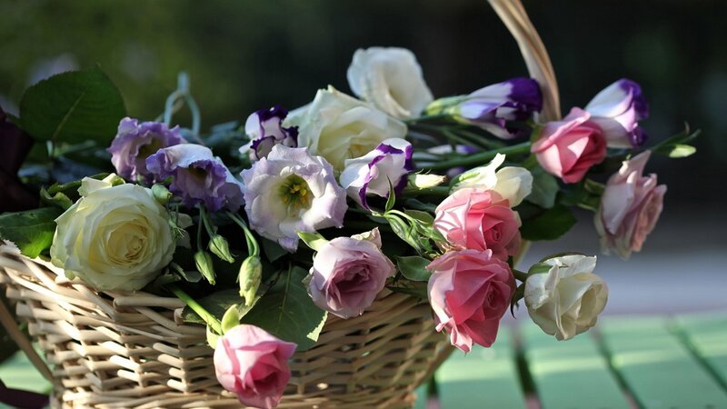 Basket of Mixed Flowers — Pink