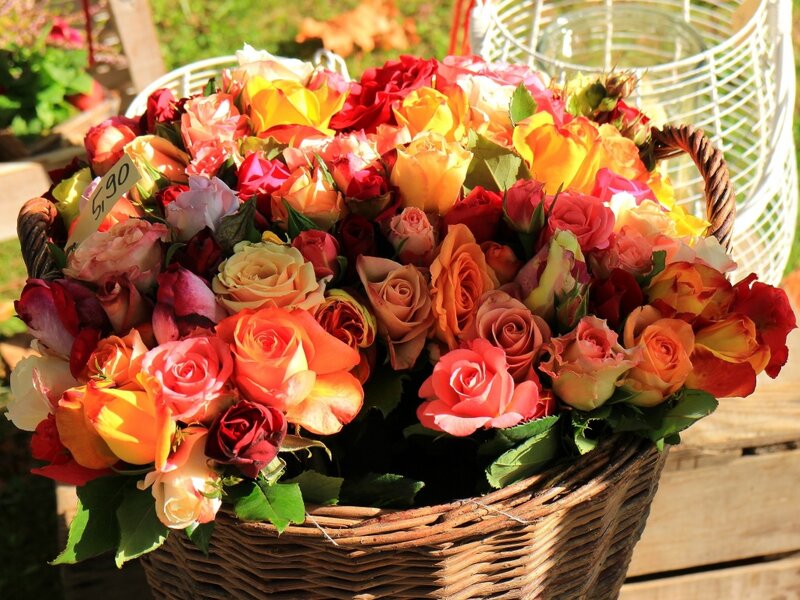 Basket of Mixed Roses