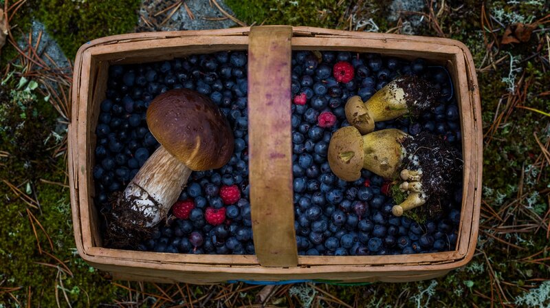 Basket of Mushrooms and Berries — Brown, Natural, Autumn