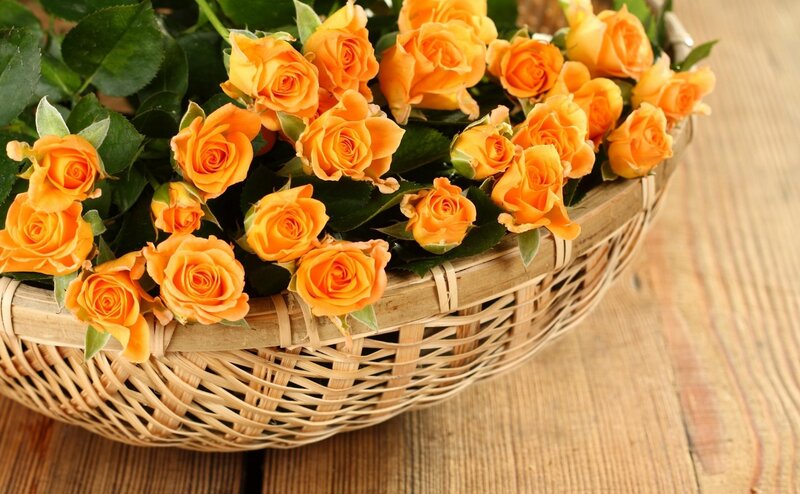basket of orange roses