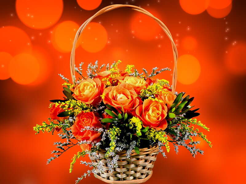 Basket of Orange Roses — Warm