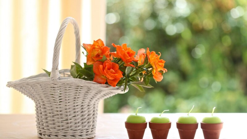Basket of Orange Roses — White, Serene