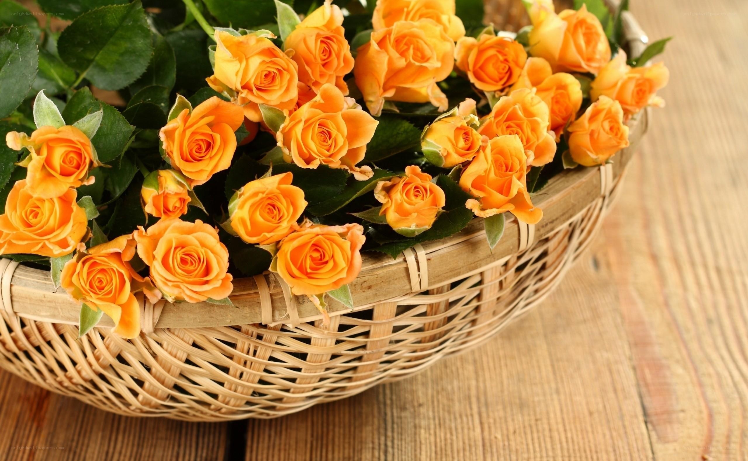 basket of orange roses