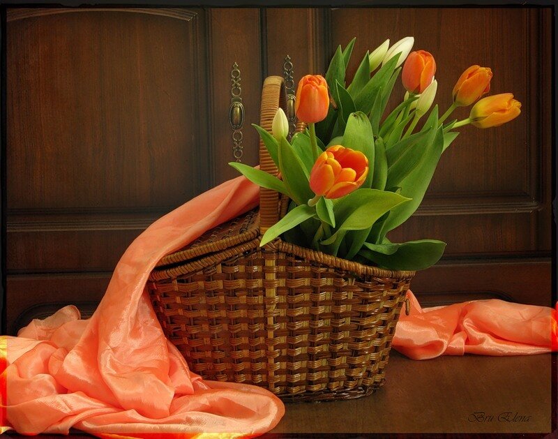 Basket of Orange Tulips