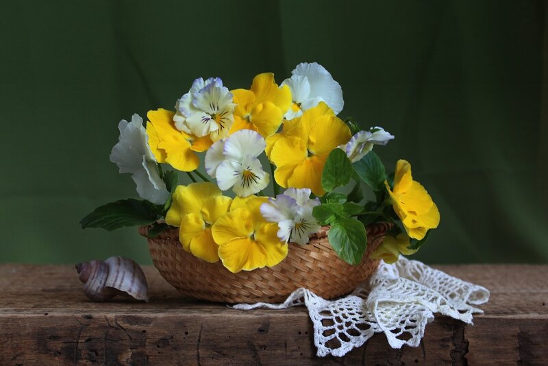 Basket of Pansies — Yellow