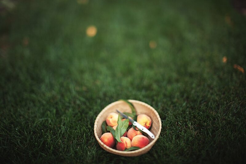 Basket of Peaches — Green