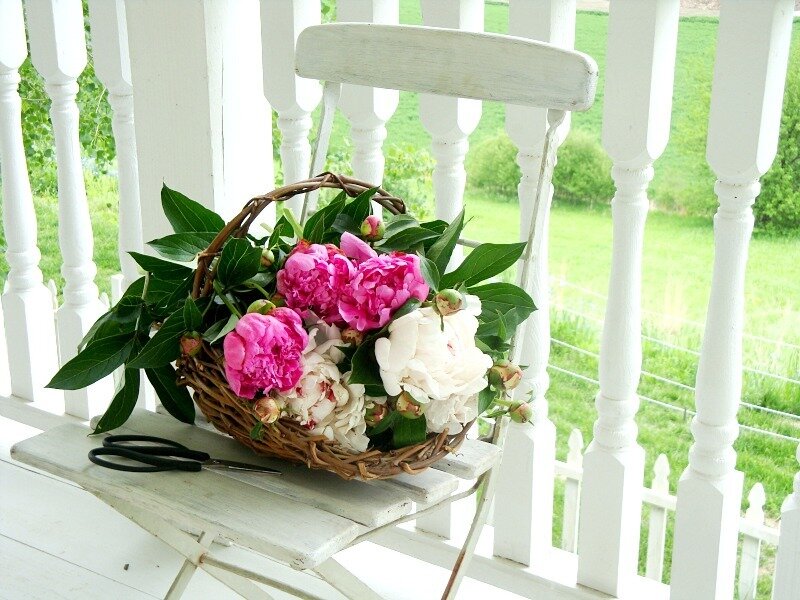 Basket of Peonies