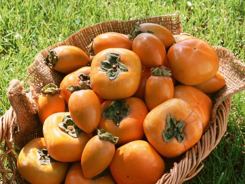 Basket of Persimmons