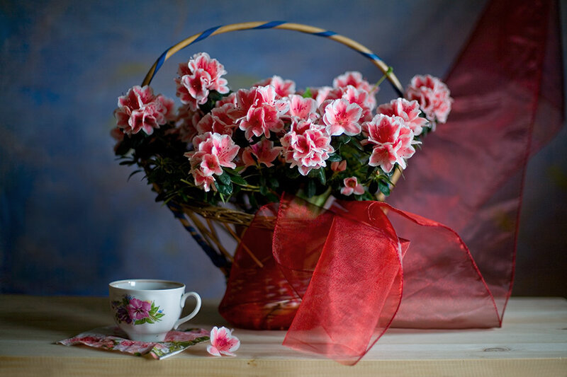 Basket of Pink Azaleas