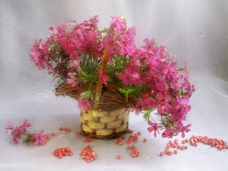 Basket of Pink Flowers — Calm, Photograph