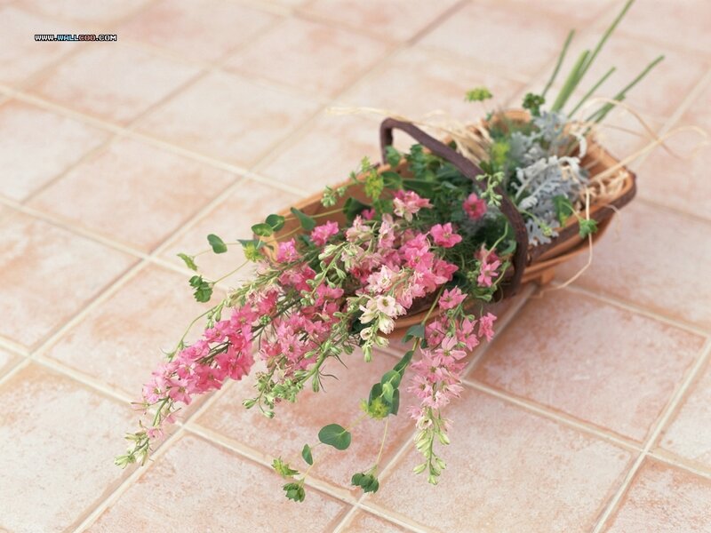 Basket of Pink Flowers — Calm