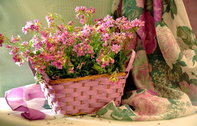 Basket of Pink Flowers — Serene, Photograph, Fabric