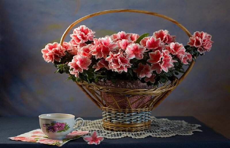 Basket of Pink Flowers — Serene