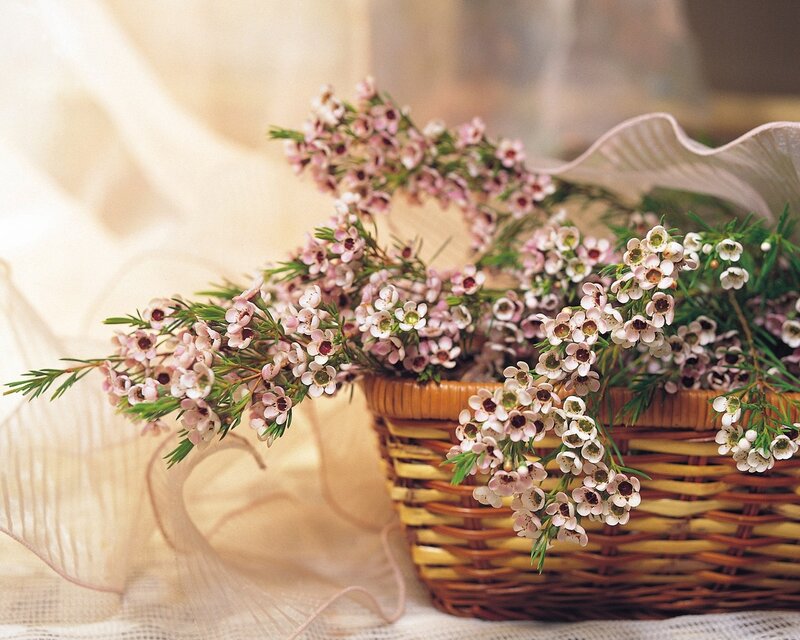 Basket of pink flowers
