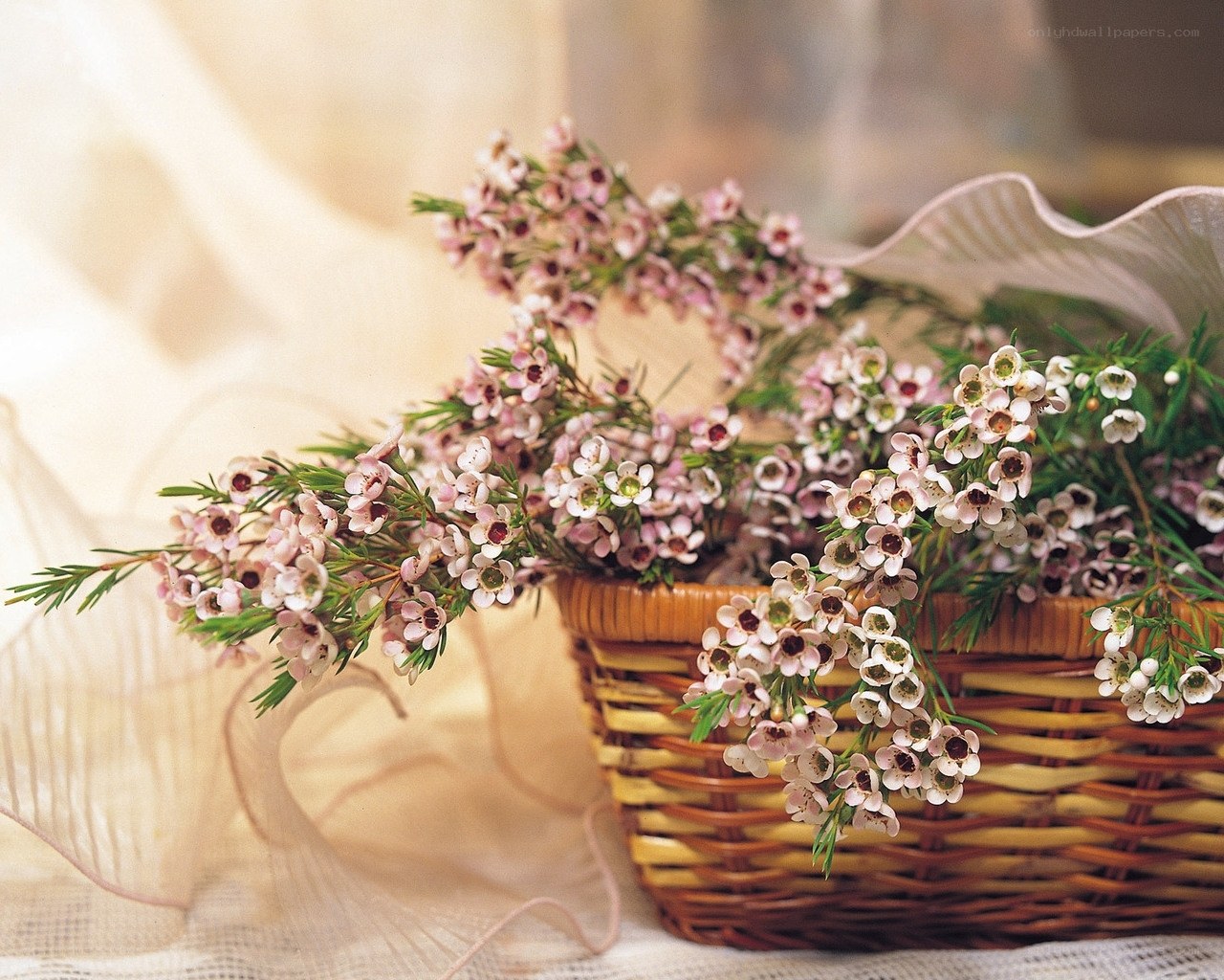Basket of pink flowers