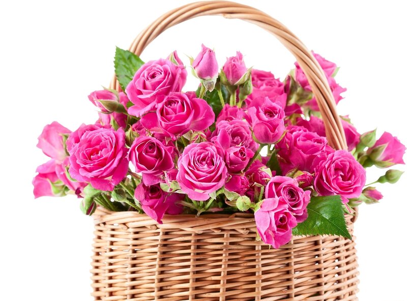 basket of pink roses