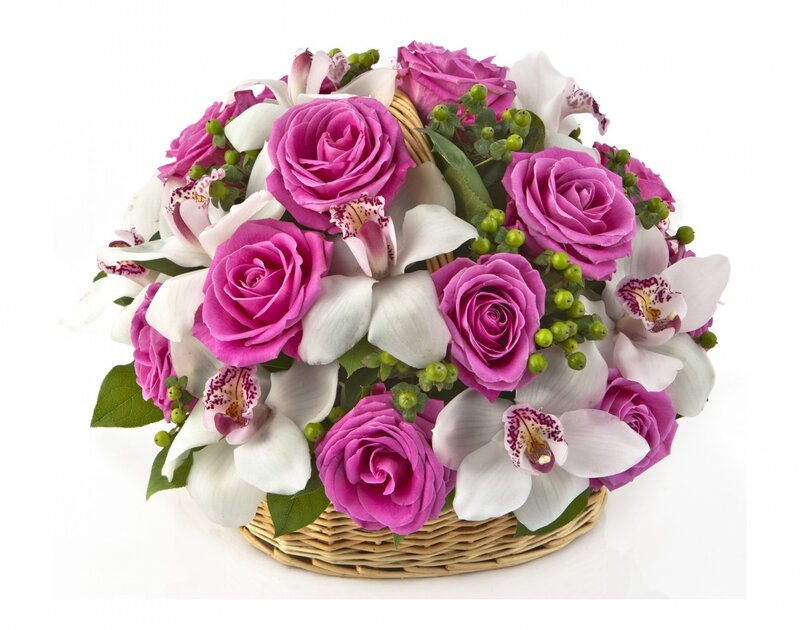 Basket of Pink Roses — Elegant