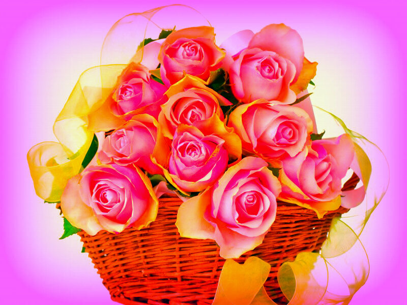 Basket of Pink Roses — Festive