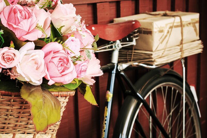 Basket of Pink Roses — Serene, Photograph, Bicycle