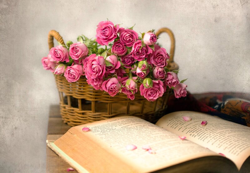 Basket of Pink Roses — Serene, Photograph, Book
