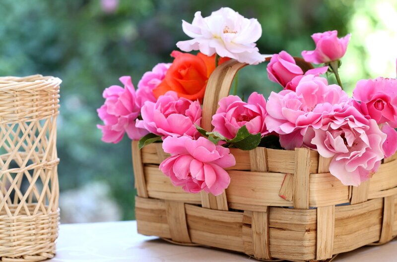 Basket of pink roses