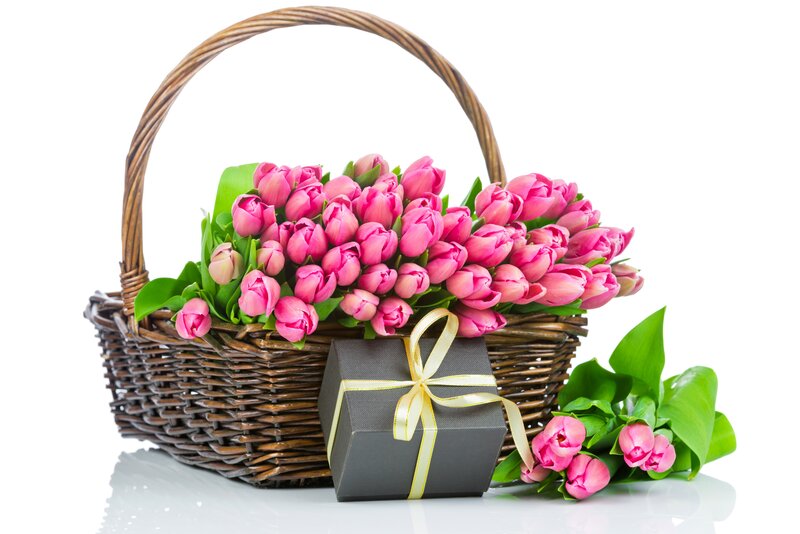 Basket of Pink Tulips — Calm, Spring