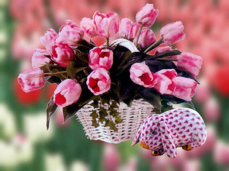 Basket of Pink Tulips — Calm