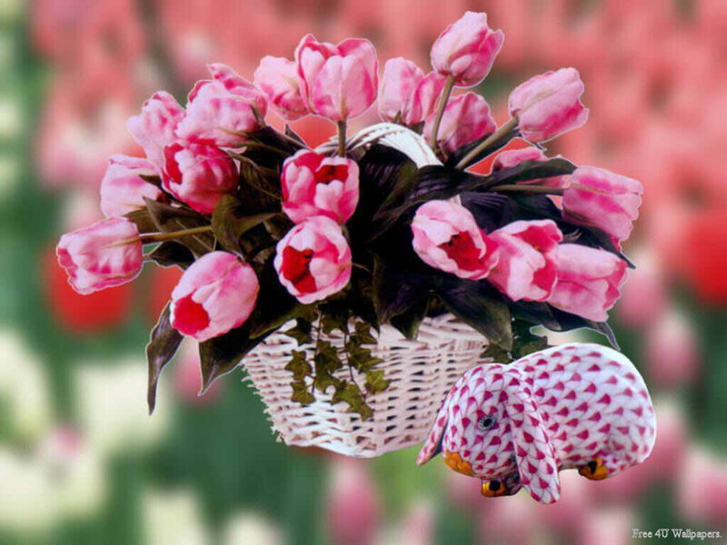 basket of pink tulips