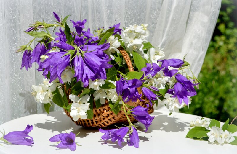 Basket of Purple and White Flowers — Serene, Summer