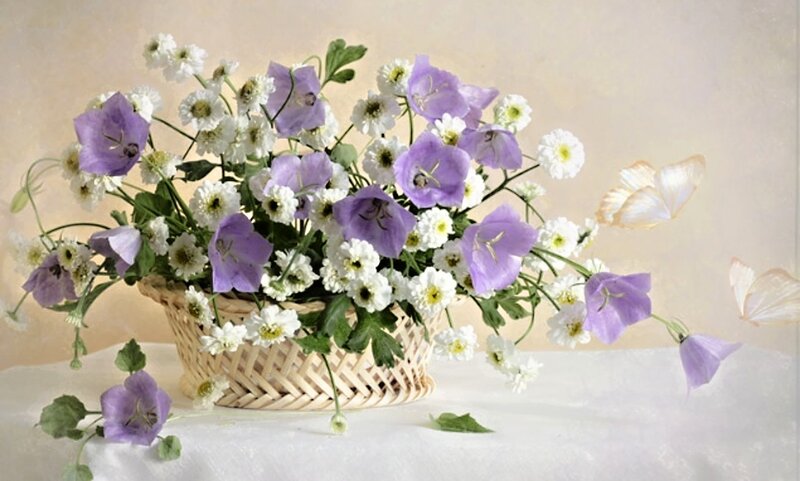 Basket of Purple and White Flowers — Serene