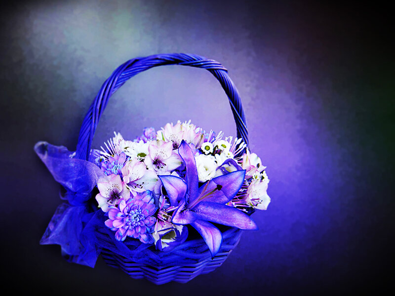 Basket of Purple Flowers — Dramatic