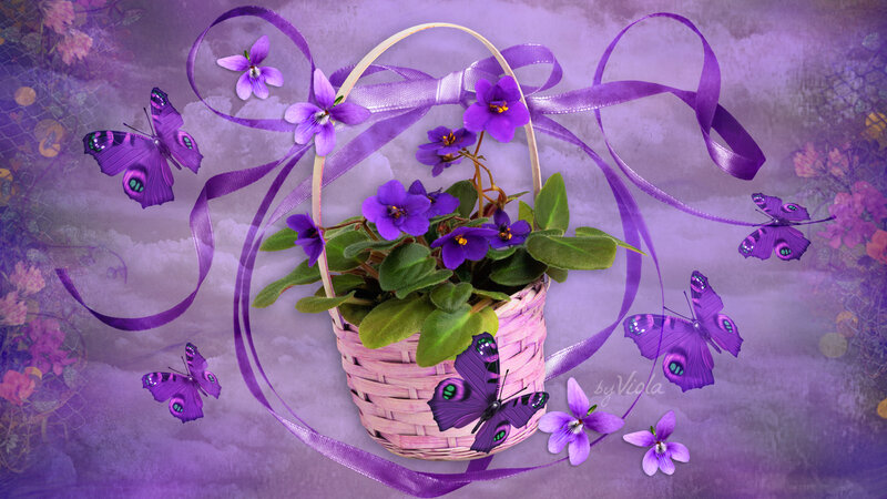 Basket of Purple Violets