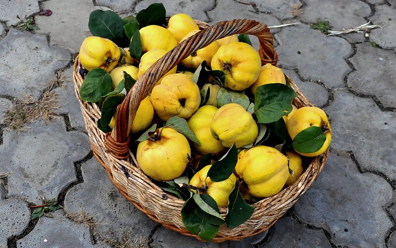 Basket of Quinces