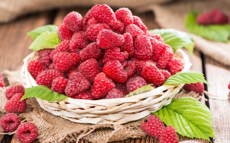 Basket of Raspberries — Red, Natural