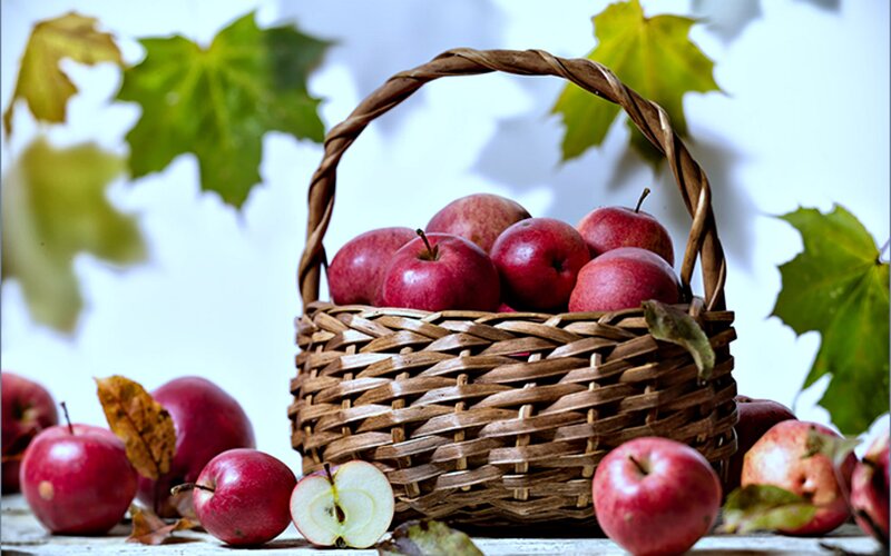 Basket of Red Apples — Calm