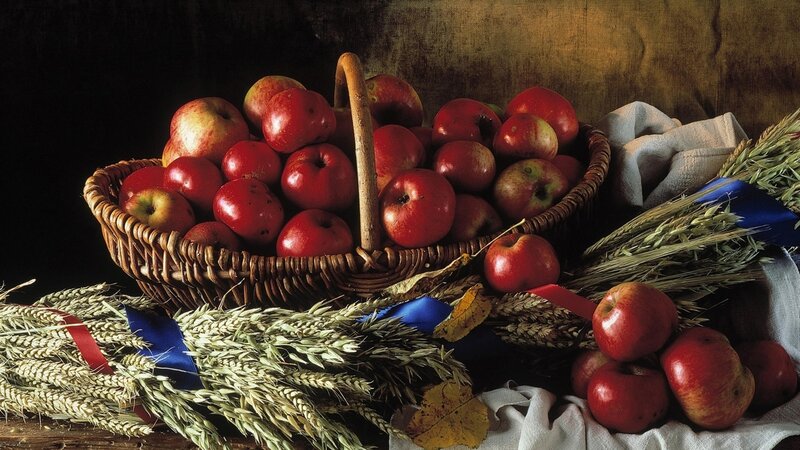 Basket of Red Apples — Dramatic, Autumn, Photograph, Wheat Stalks