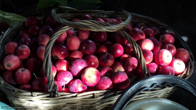 Basket of Red Apples — Dramatic, Photograph
