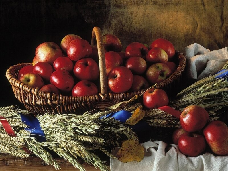 Basket of Red Apples — Dramatic