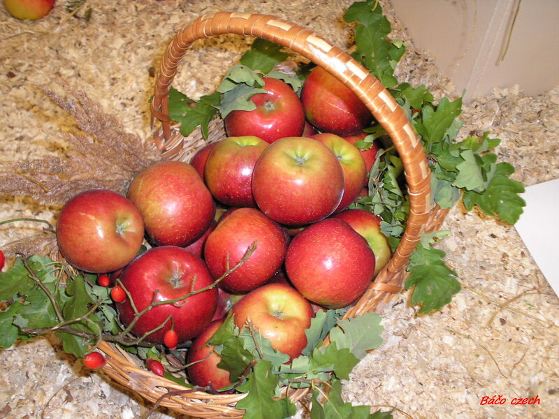 Basket of Red Apples — Natural