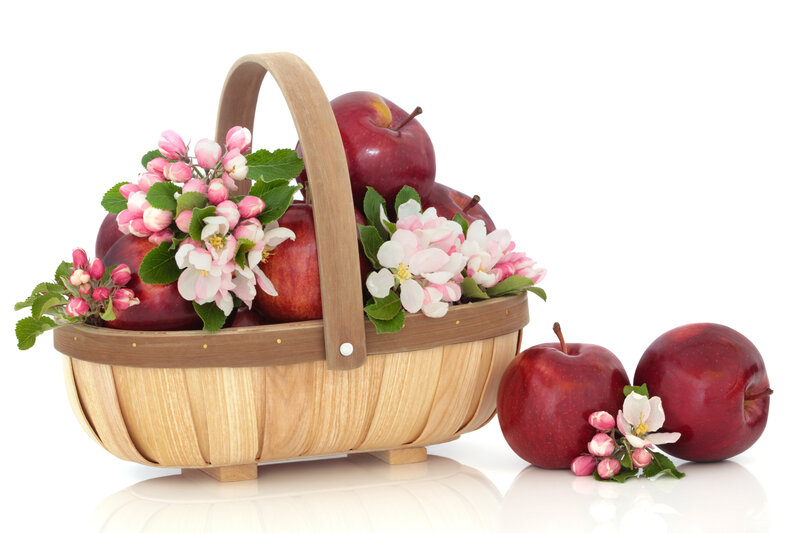 Basket of Red Apples — Serene
