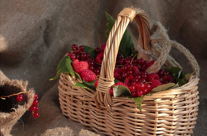 Basket of Red Berries