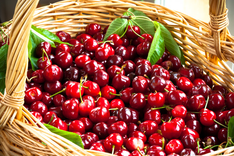 Basket of Red Cherries — Fresh, Afternoon