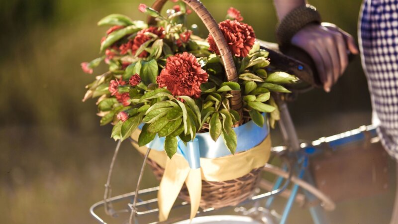 Basket of Red Flowers — Serene, Sunset