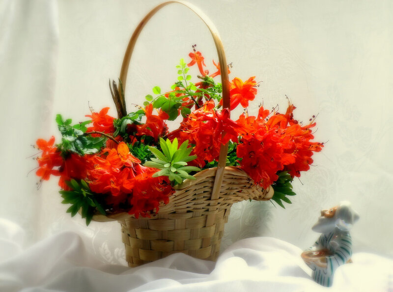 Basket of Red Flowers — Serene