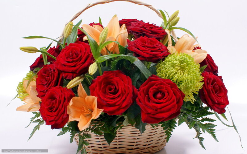 Basket of Red Roses — Festive, Photograph, Lilies