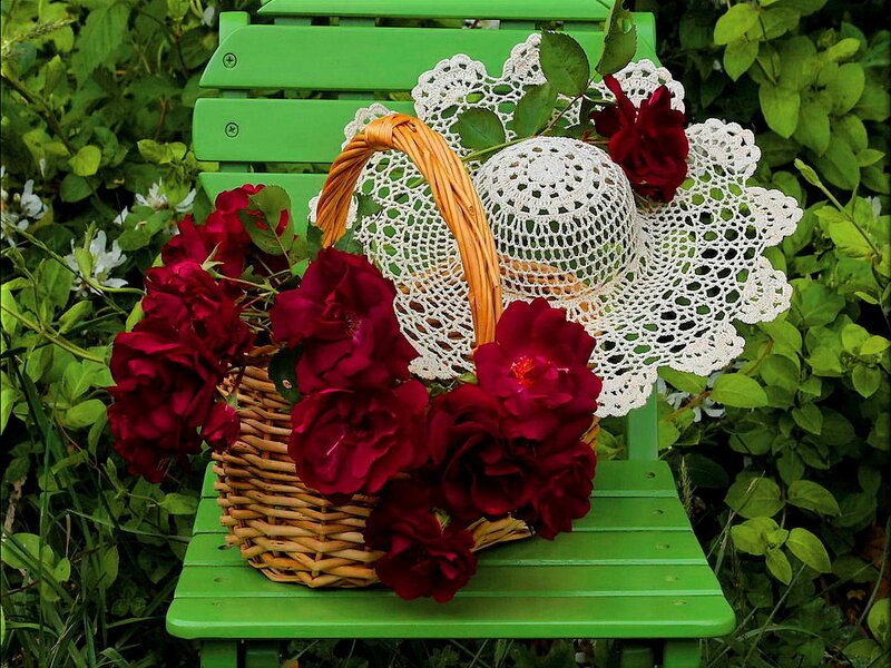 Basket of Red Roses