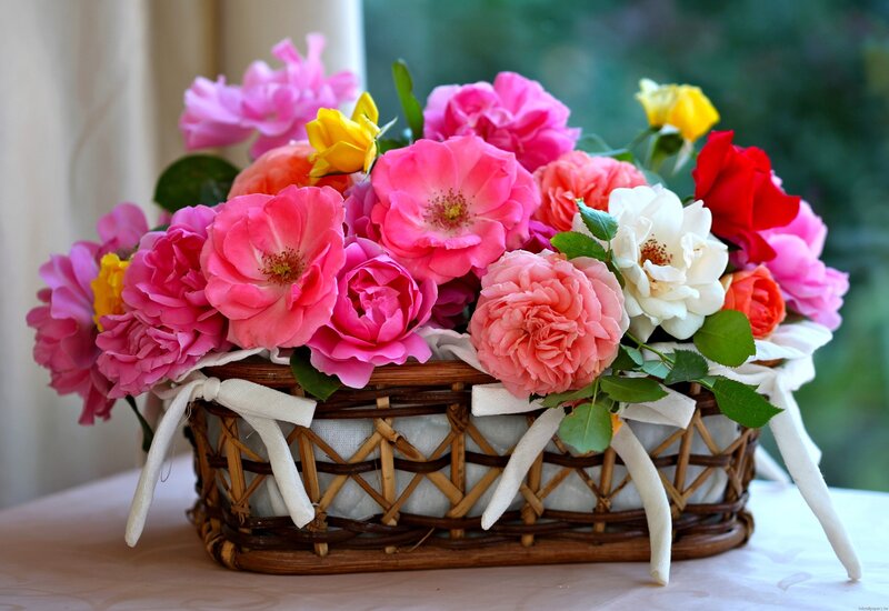 Basket of Roses — Pink, Calm, Afternoon
