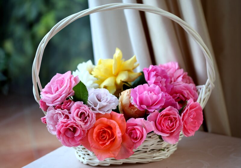 Basket of Roses — Pink, Calm